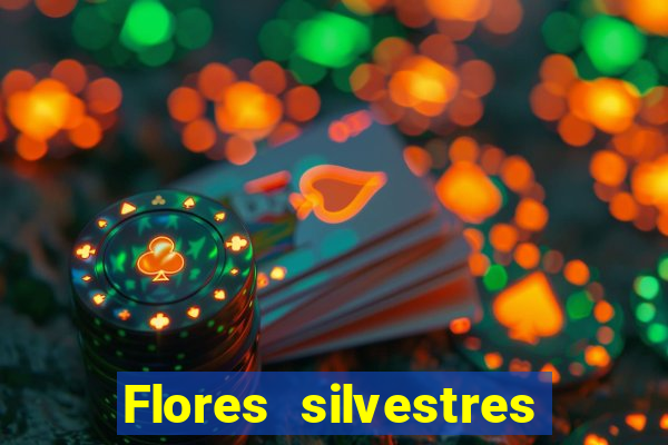 Flores silvestres brasileiras brasileiras flores silvestres nomes e imagens