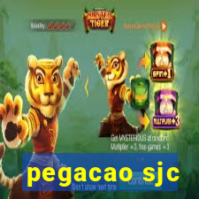 pegacao sjc