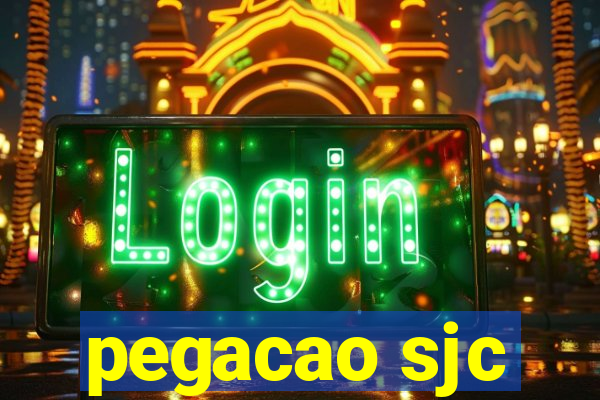 pegacao sjc