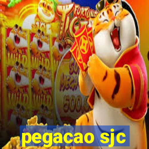 pegacao sjc