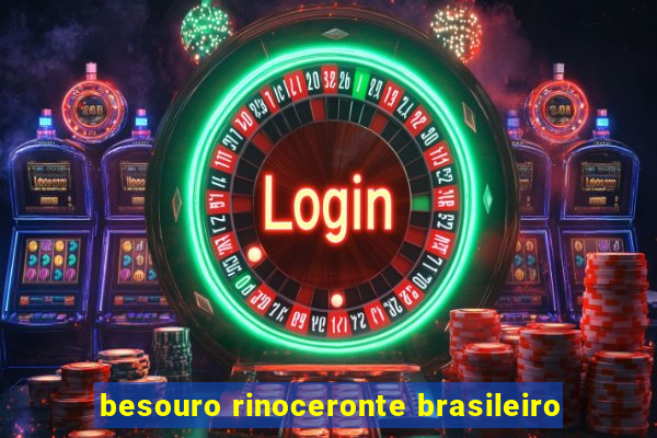 besouro rinoceronte brasileiro