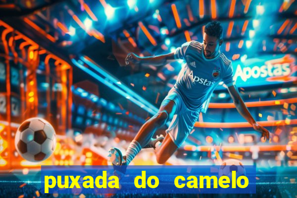 puxada do camelo no jogo do bicho