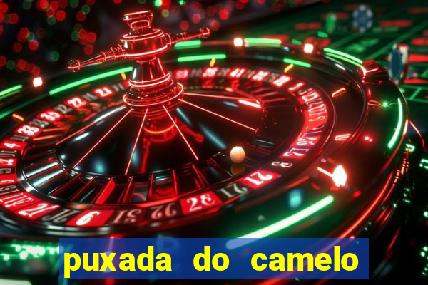 puxada do camelo no jogo do bicho