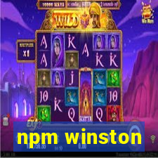 npm winston