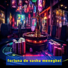 fortuna de sasha meneghel