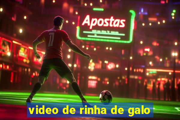 video de rinha de galo