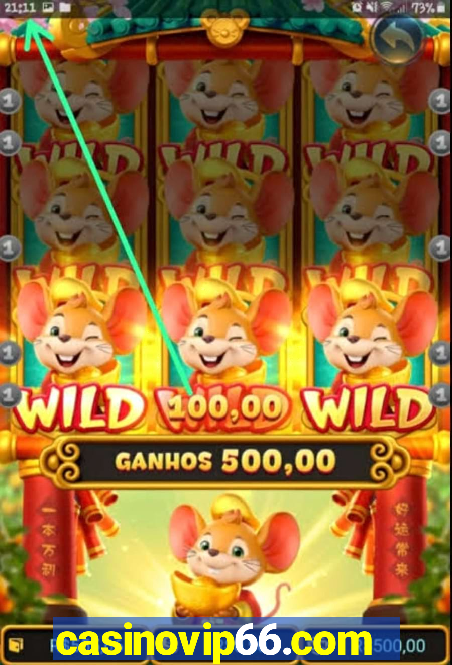 casinovip66.com