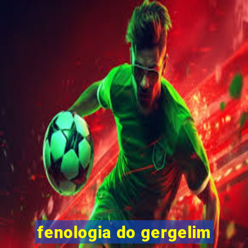 fenologia do gergelim