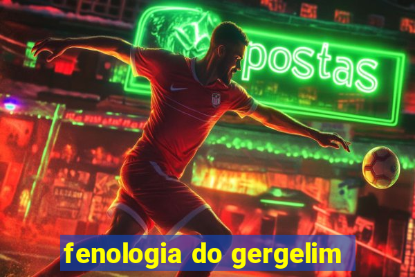 fenologia do gergelim