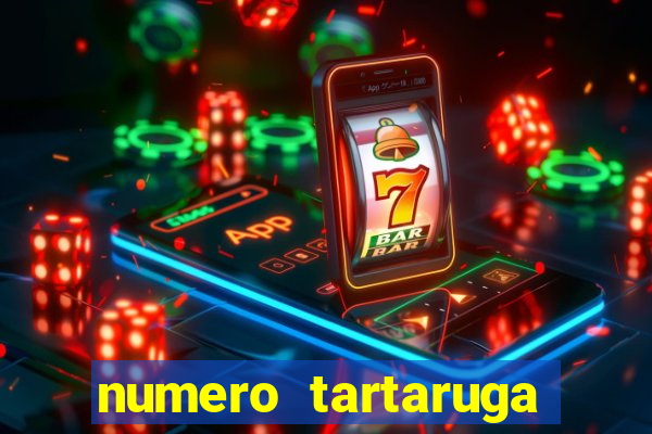 numero tartaruga jogo do bicho