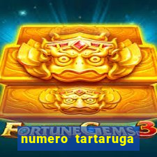 numero tartaruga jogo do bicho