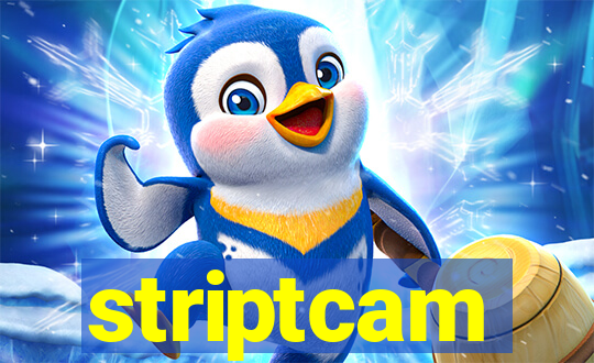 striptcam