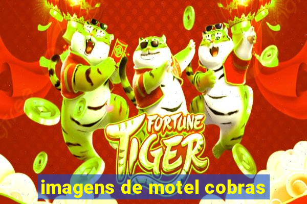 imagens de motel cobras