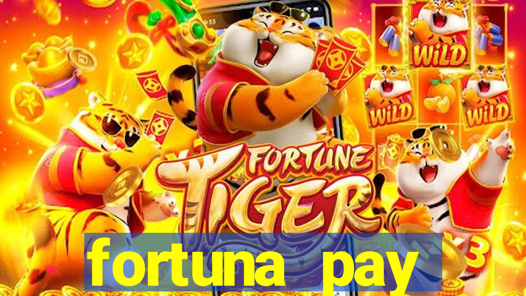 fortuna pay consultoria financeira ltda