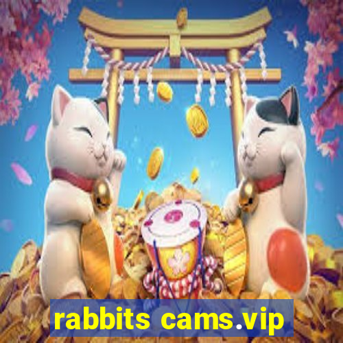 rabbits cams.vip