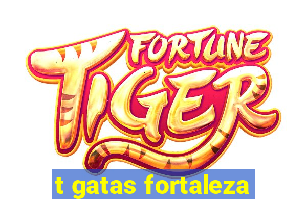 t gatas fortaleza