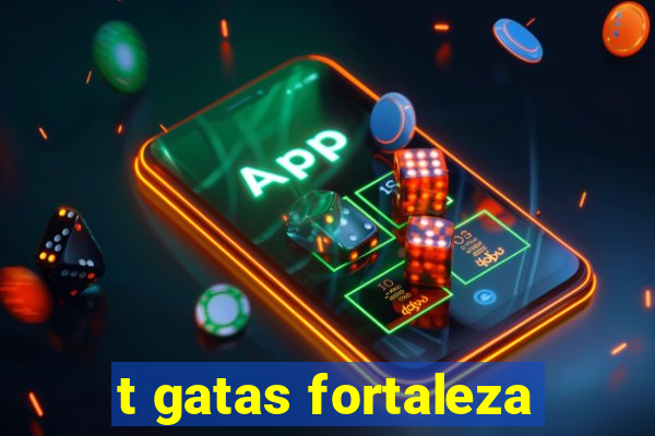 t gatas fortaleza