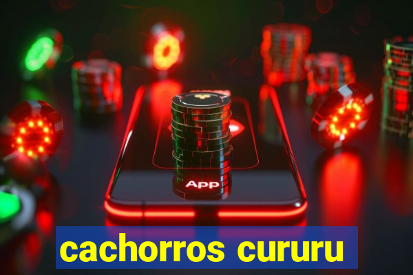 cachorros cururu