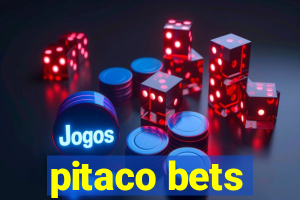 pitaco bets