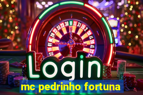 mc pedrinho fortuna