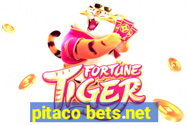 pitaco bets.net