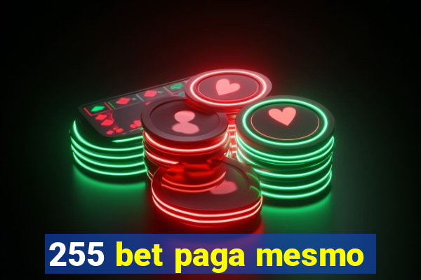 255 bet paga mesmo