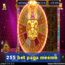 255 bet paga mesmo