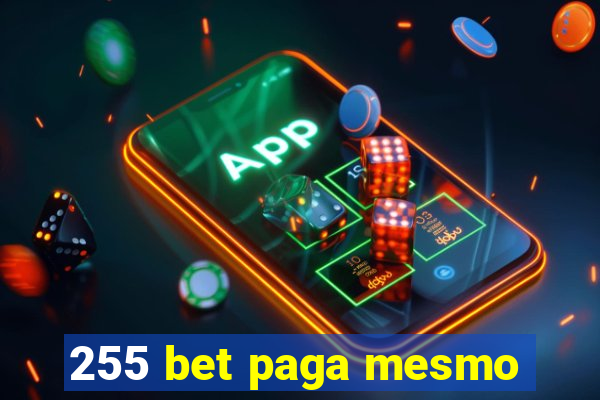 255 bet paga mesmo