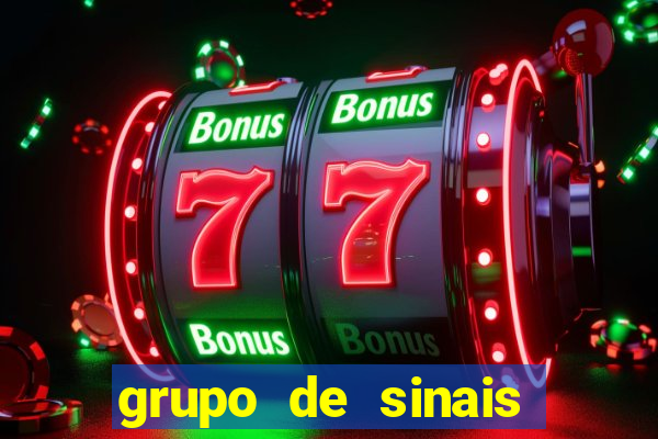 grupo de sinais trader telegram