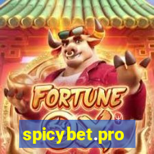 spicybet.pro