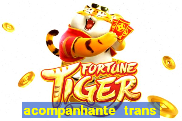 acompanhante trans de santos