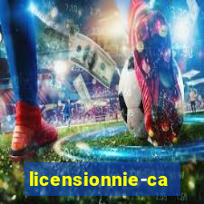 licensionnie-casino.ru