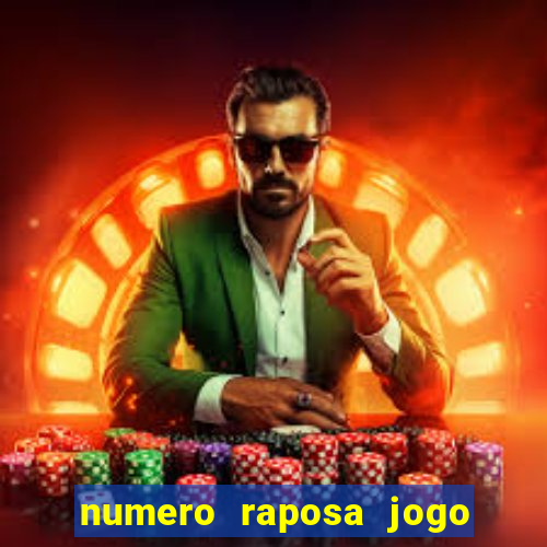 numero raposa jogo do bicho