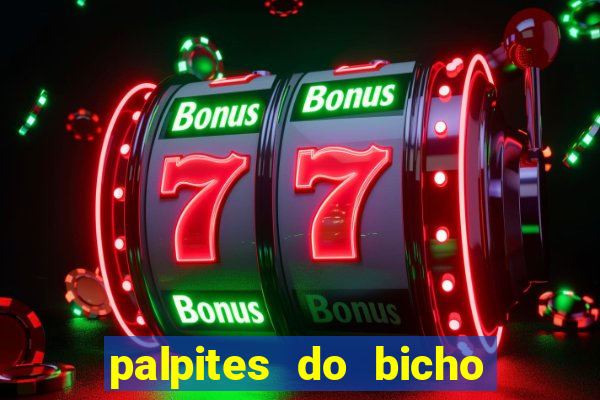 palpites do bicho no celular