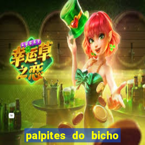 palpites do bicho no celular