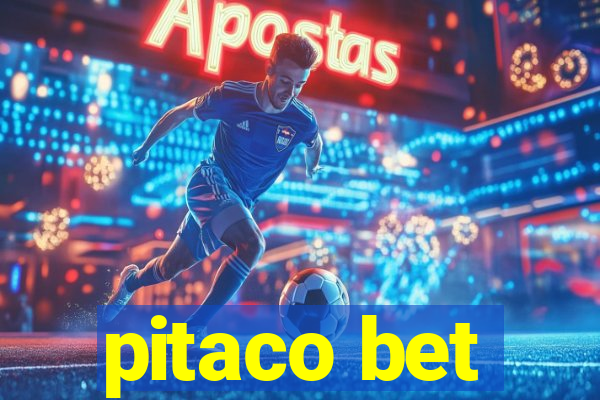 pitaco bet