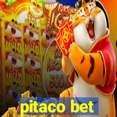 pitaco bet