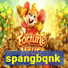 spangbqnk