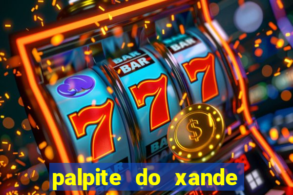 palpite do xande de hoje