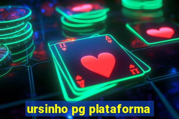 ursinho pg plataforma