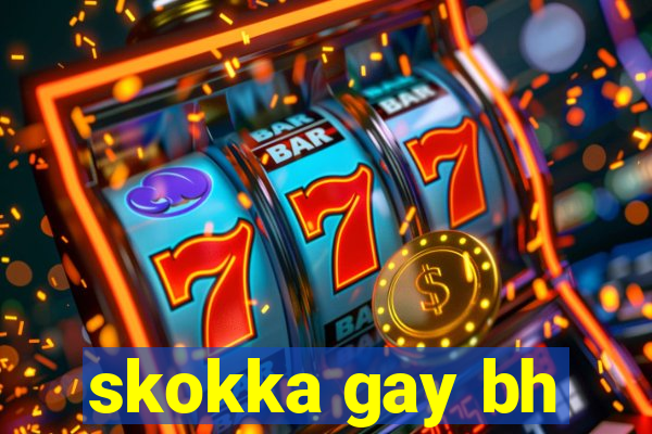 skokka gay bh