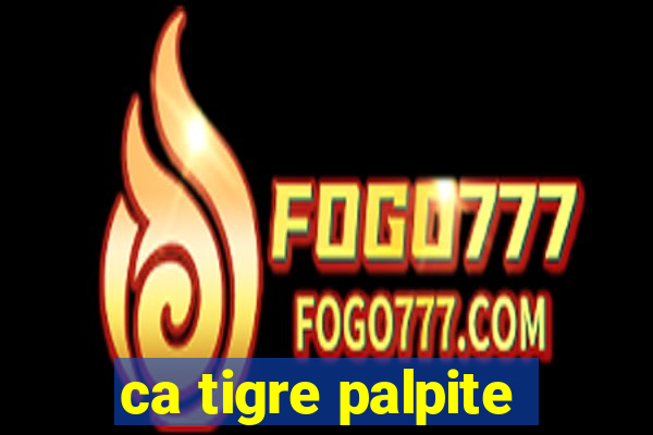 ca tigre palpite