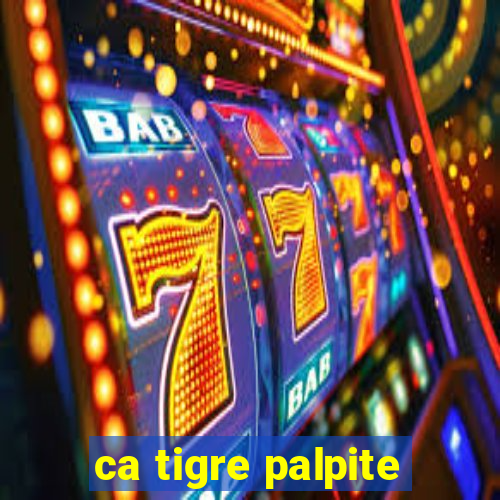 ca tigre palpite