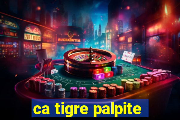 ca tigre palpite