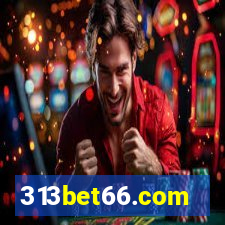 313bet66.com