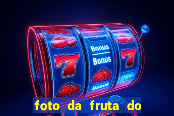 foto da fruta do blox fruits