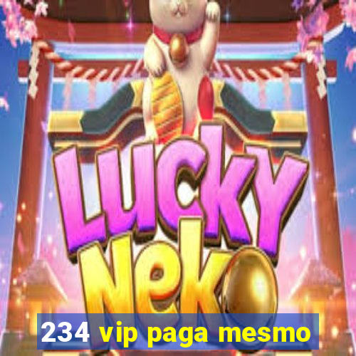 234 vip paga mesmo