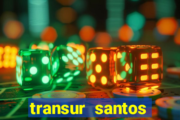 transur santos dumont x juiz de fora 2024