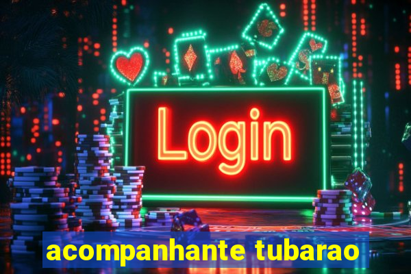 acompanhante tubarao