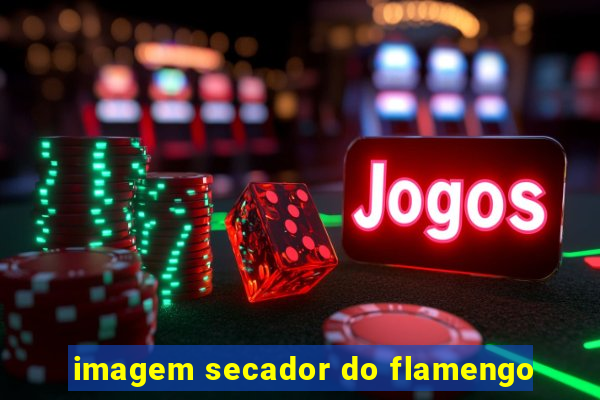 imagem secador do flamengo